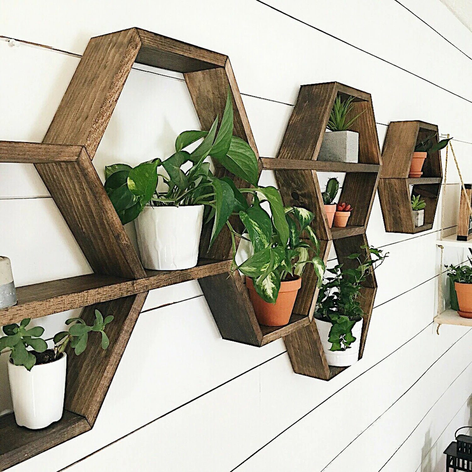 Set rafesh për mur, dru i fortë, ngjyrë arre, Skye Decor, Raf109 (6 copë)