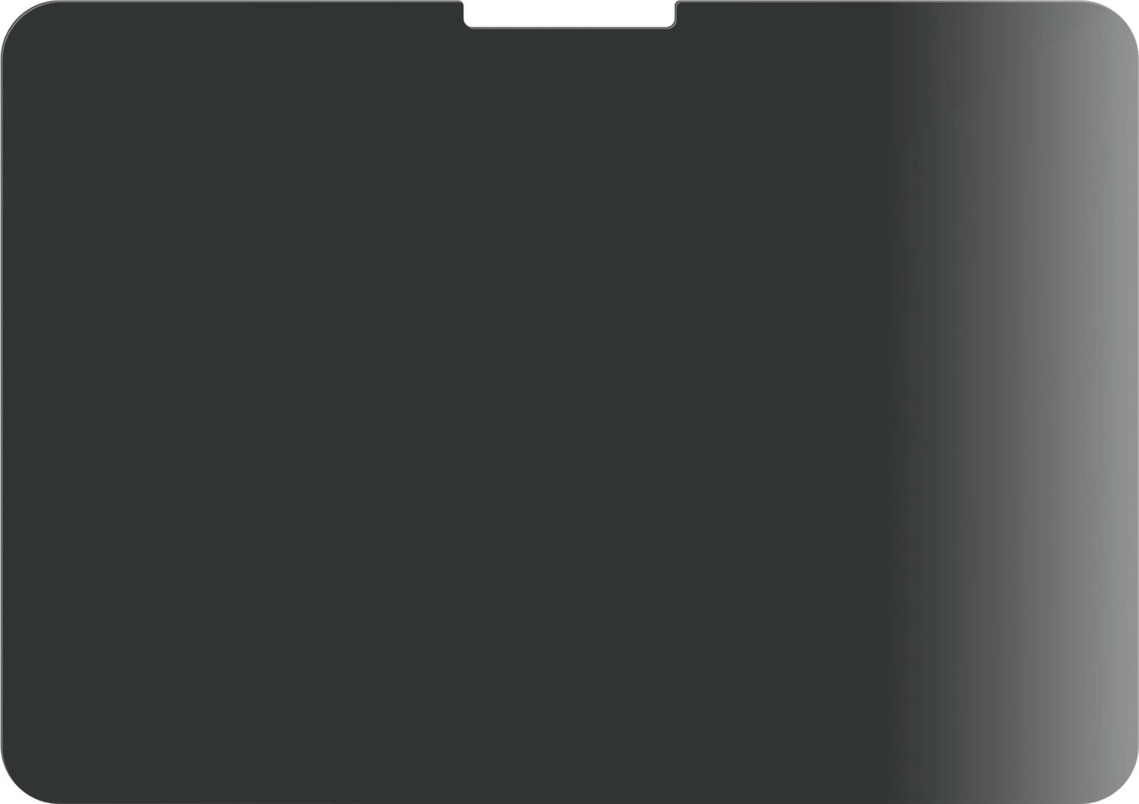 Mbrojtës ekrani PanzerGlass për iPad Pro 11 2024, privacy, transparent
