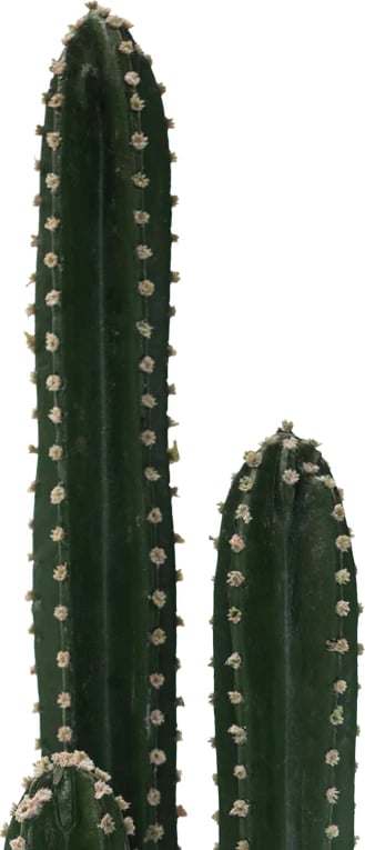 Bimë dekorative kaktus III në vazo, Inart, jeshile, pp, H85cm