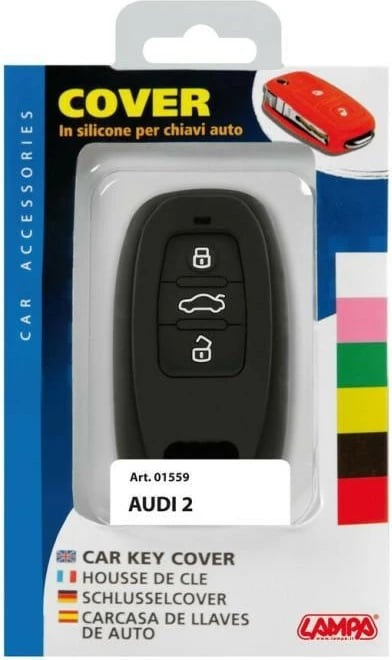 Mbeshtjelles Per ÇElsa Audi 2