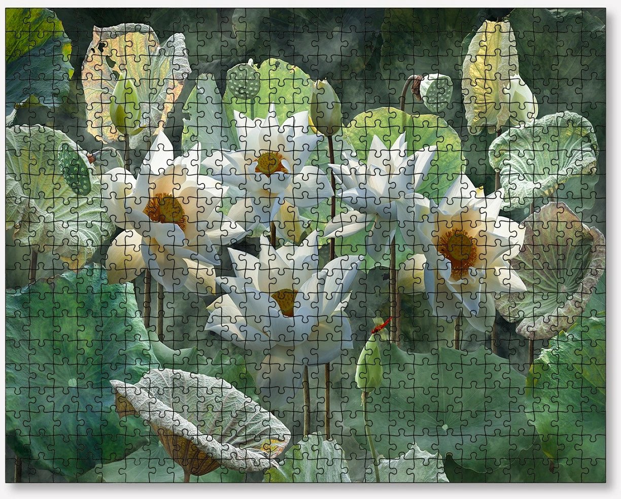 Puzzle 500 copa, Evila Originals, shumëngjyrësh, PZL_0124_500