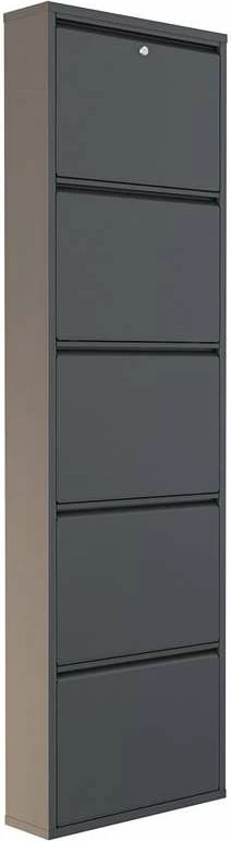 Dollap këpucësh metalik, 5 pjesë, ngjyrë antracit, Skye Decor