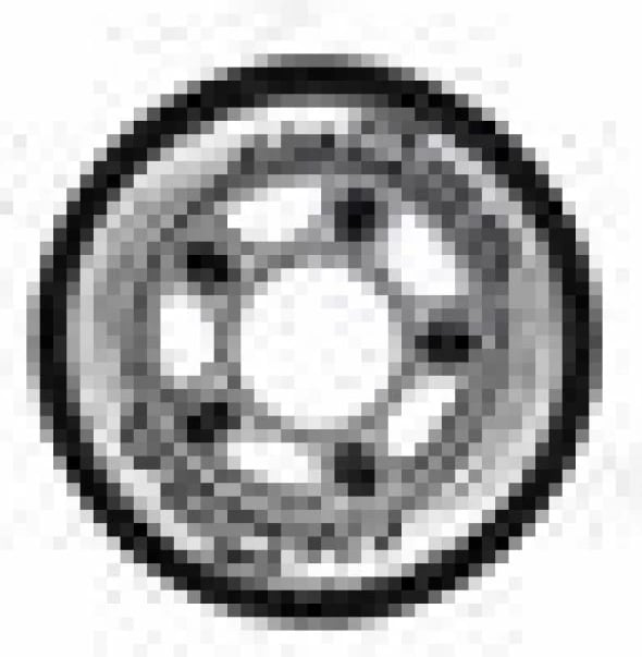 Rrota rollera Nils Extreme, të zeza