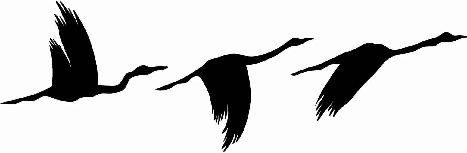 Aksesor dekorativ metalik për mur, zogj migrantë, Wallity, 291