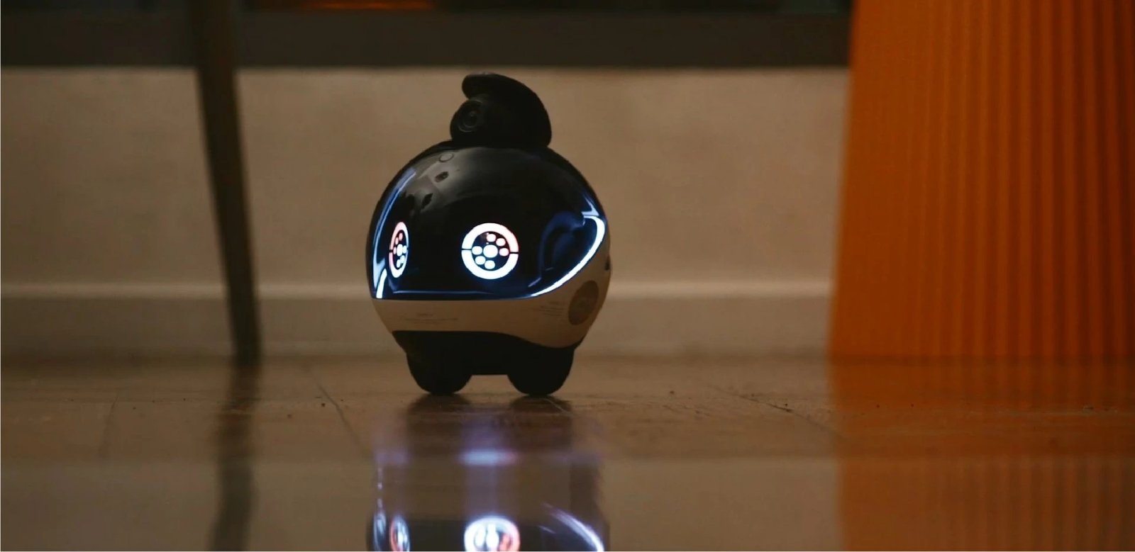 Robot me kamera Enabot EBO X, 8 GB, i zi