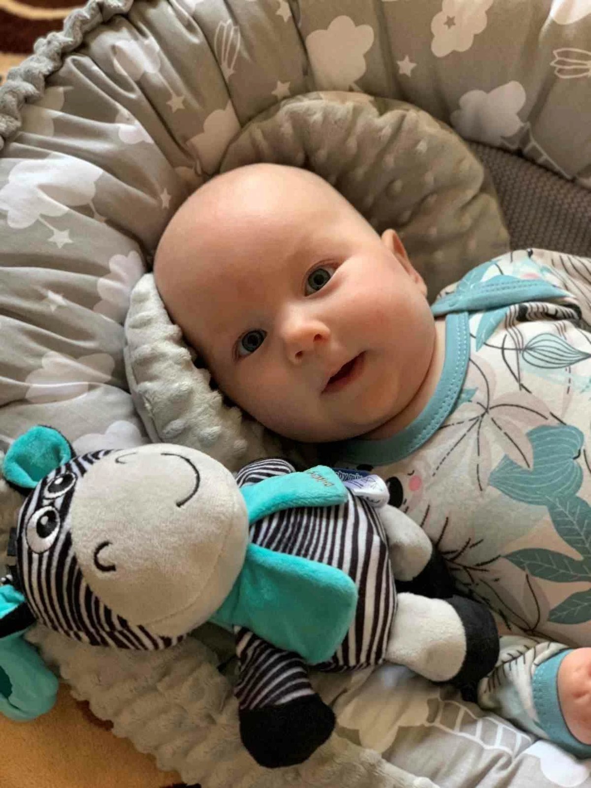 Lodër pelushi edukative me tingull dhe kapëse, Baby Mix zebra, 17 cm, multingjyrëshe