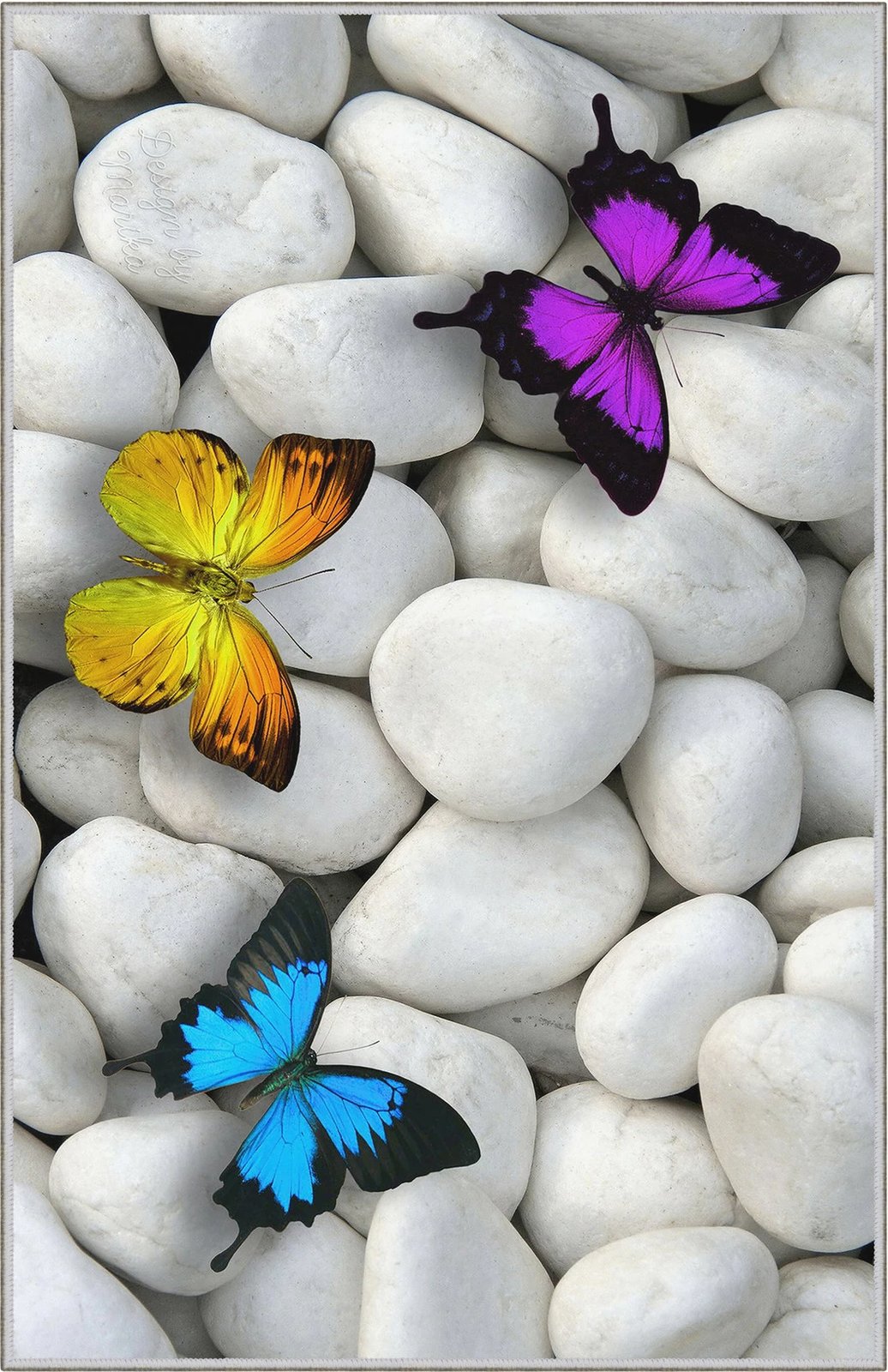 Qilim për korridor, shumëngjyrësh, 80x300cm, Conceptum Hypnose, WOOKECE130