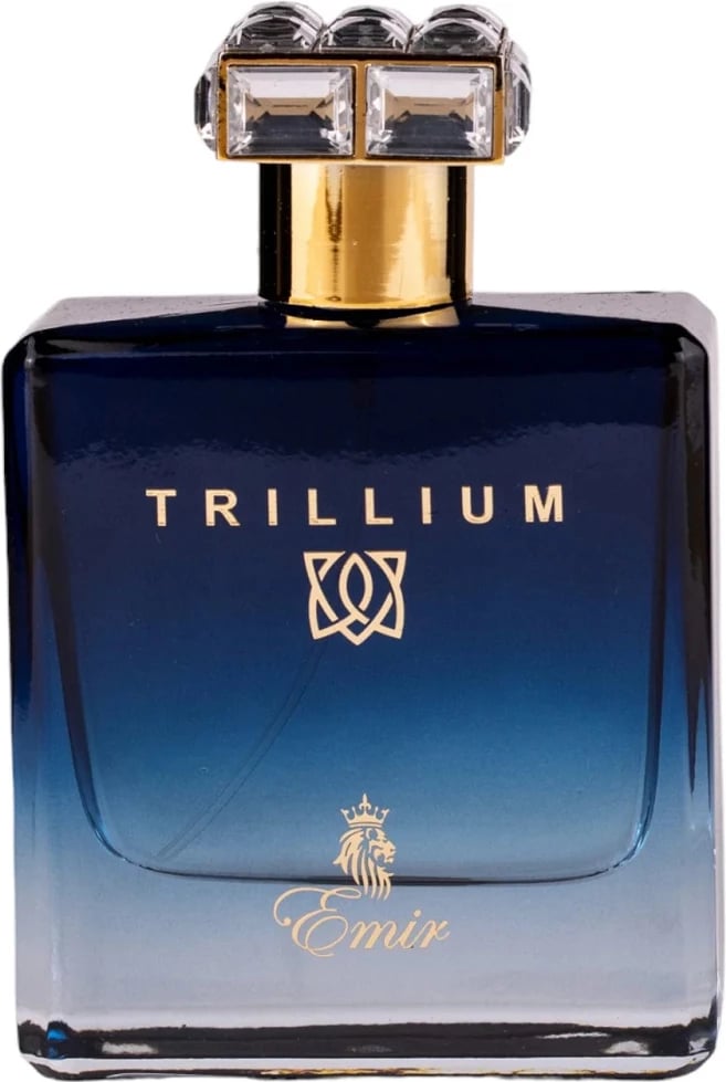 Eau de Parfum për meshkuj Emir Trillium 100ml