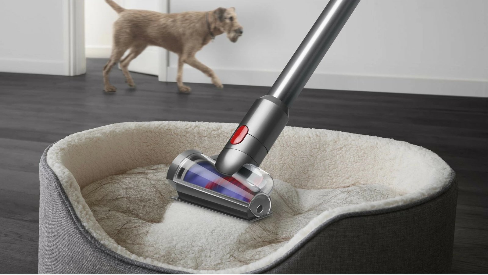 Fshesë me korrent Dyson V12 Detect Slim Absolute, 0.35 L, LCD, Nickel, Yellow
