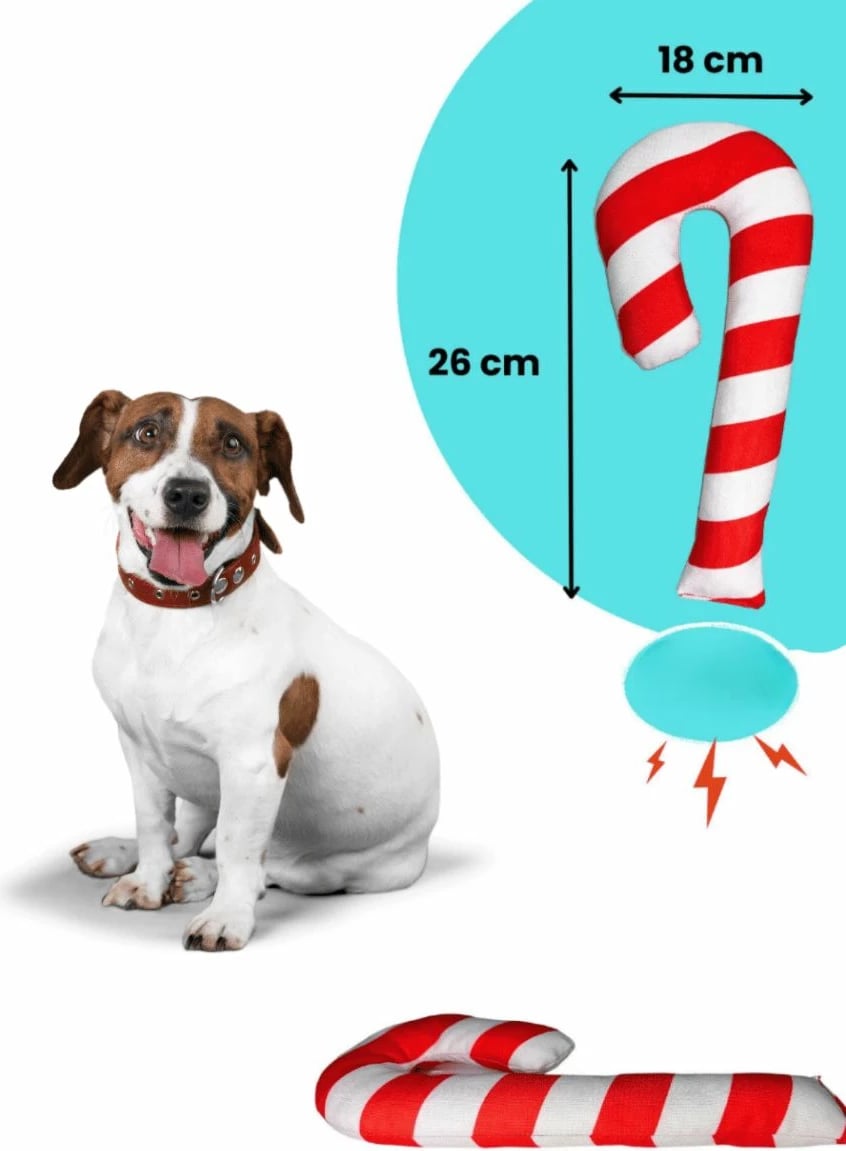 Lodra pelushi për qen, Paws & Whiskers, Havhav 1021, set me 2 copë