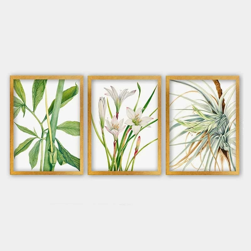 Pikturë dekorative me kornizë (3 copë), Wallity, 3AC_12621251_3545