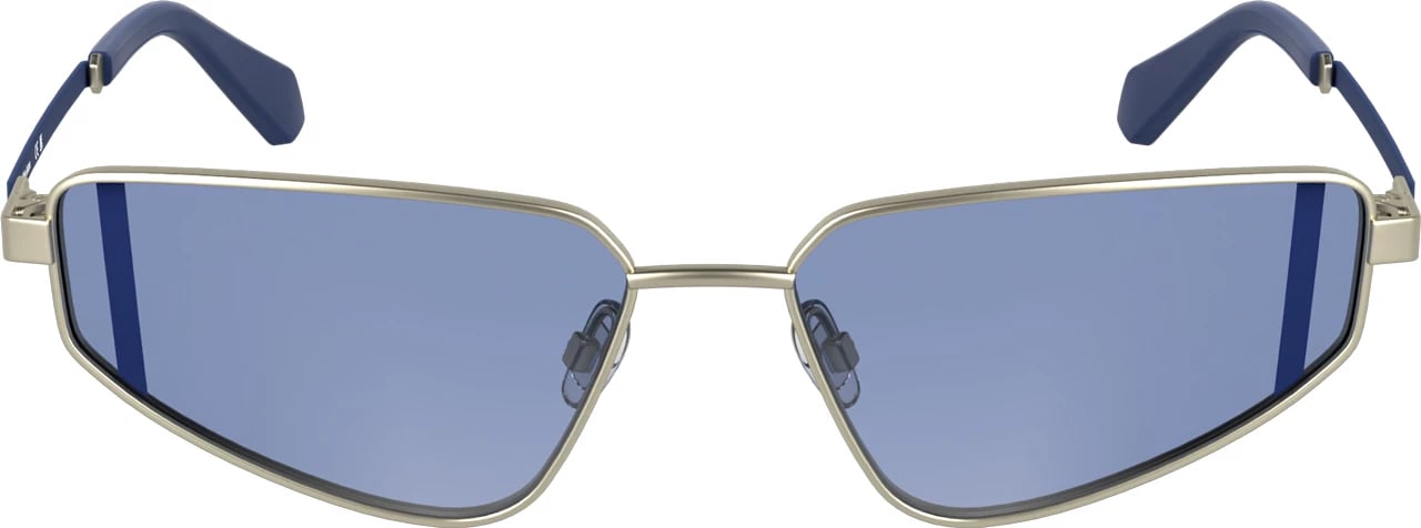 Syze dielli Calvin Klein femra, argjendi