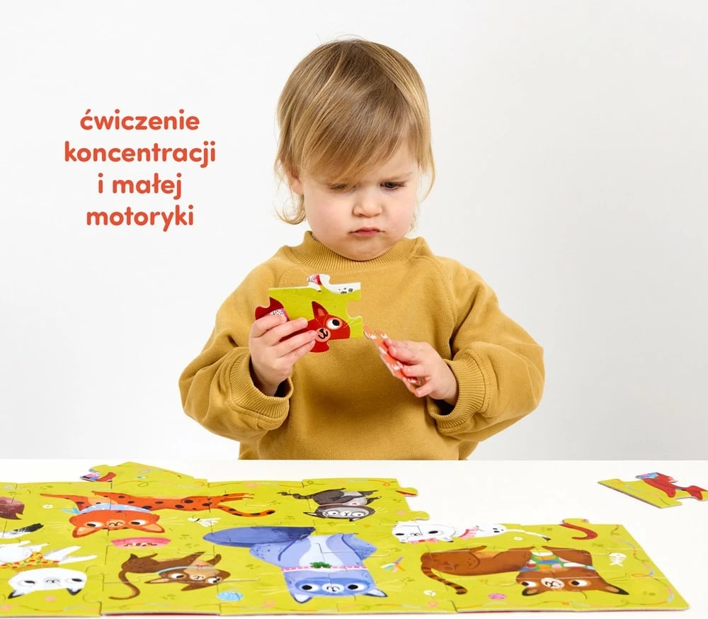 Puzzle për fëmijë CzuCzu Miau Kotki, 40 pjesë, karton, shumëngjyrësh