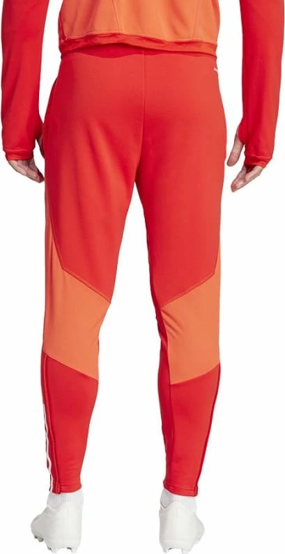 Pantallona sportive për meshkuj adidas, FC Bayern, të kuqe