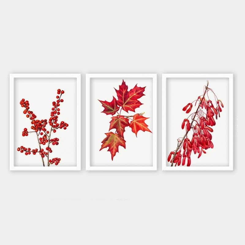 Pikturë dekorative me kornizë (3 copë), Wallity, 3BC_42613522_3545