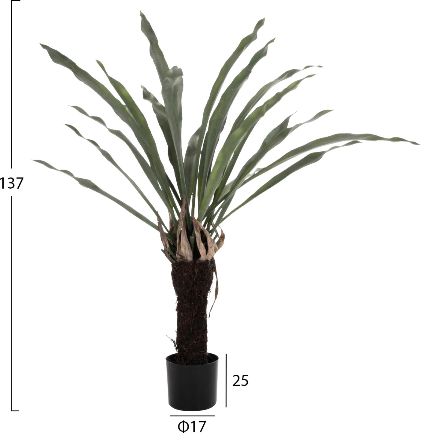 Bimë sintetike dekorative, FH7975, Asplenium Prolongatum (ferne), në vazo, 137H cm