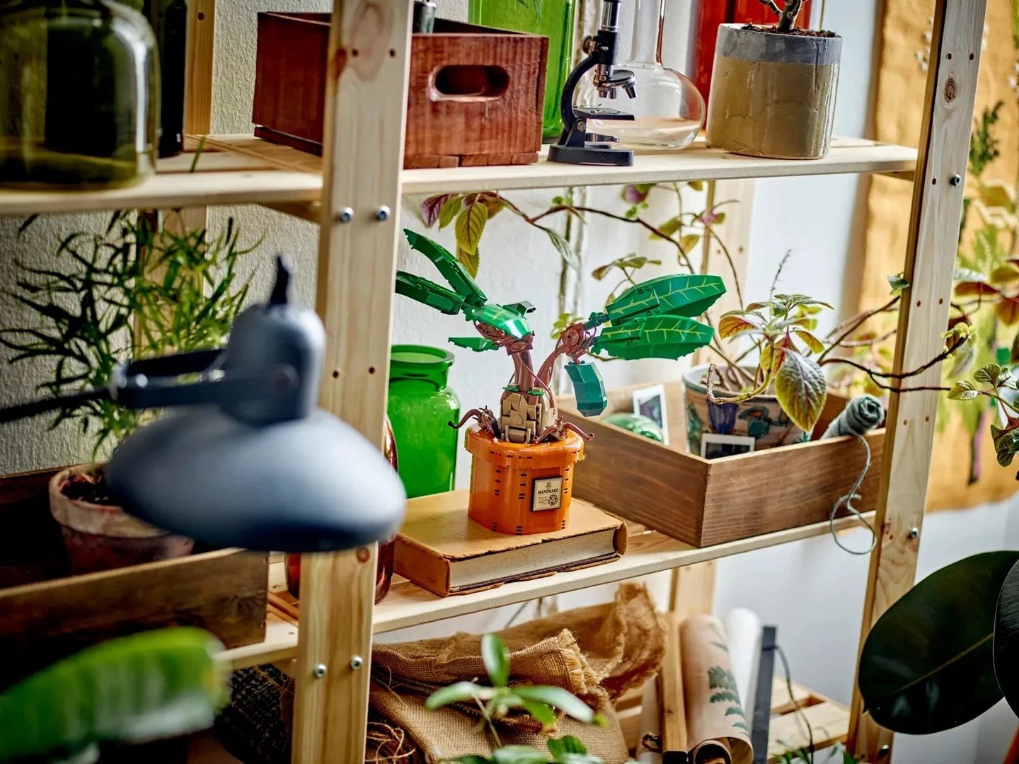 LEGO Harry Potter 76433 Mandrake