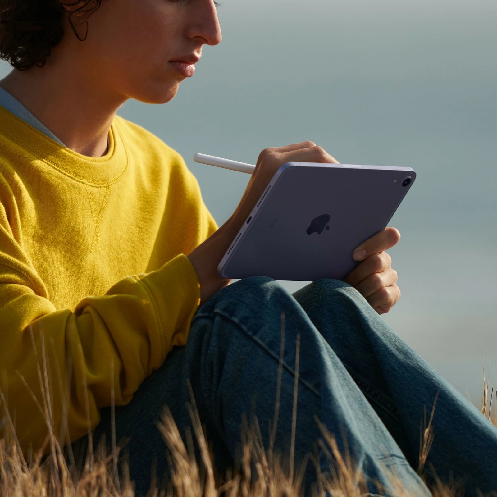 Tablet Apple iPad mini 8.3 Wi-Fi + Cellular 64GB vjollcë
