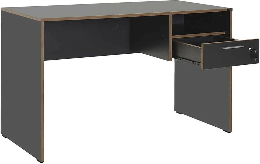 Tavolinë pune Hanah Home, anthracite dhe lis, Cms-510-Ax-1