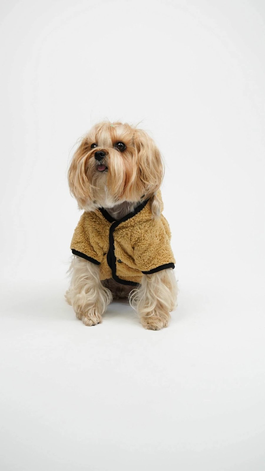 Hudi për qen, Paws & Whiskers, xhaketë teddy welsoft, e gjelbër