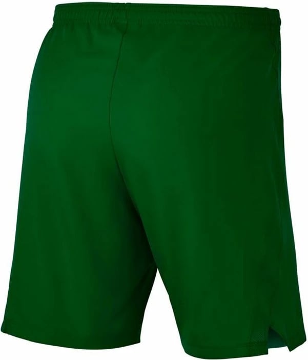 Shorce për meshkuj Nike, të gjelbra