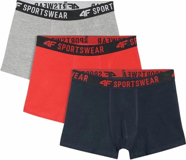 Të brendshme për djem 4F, multikolor