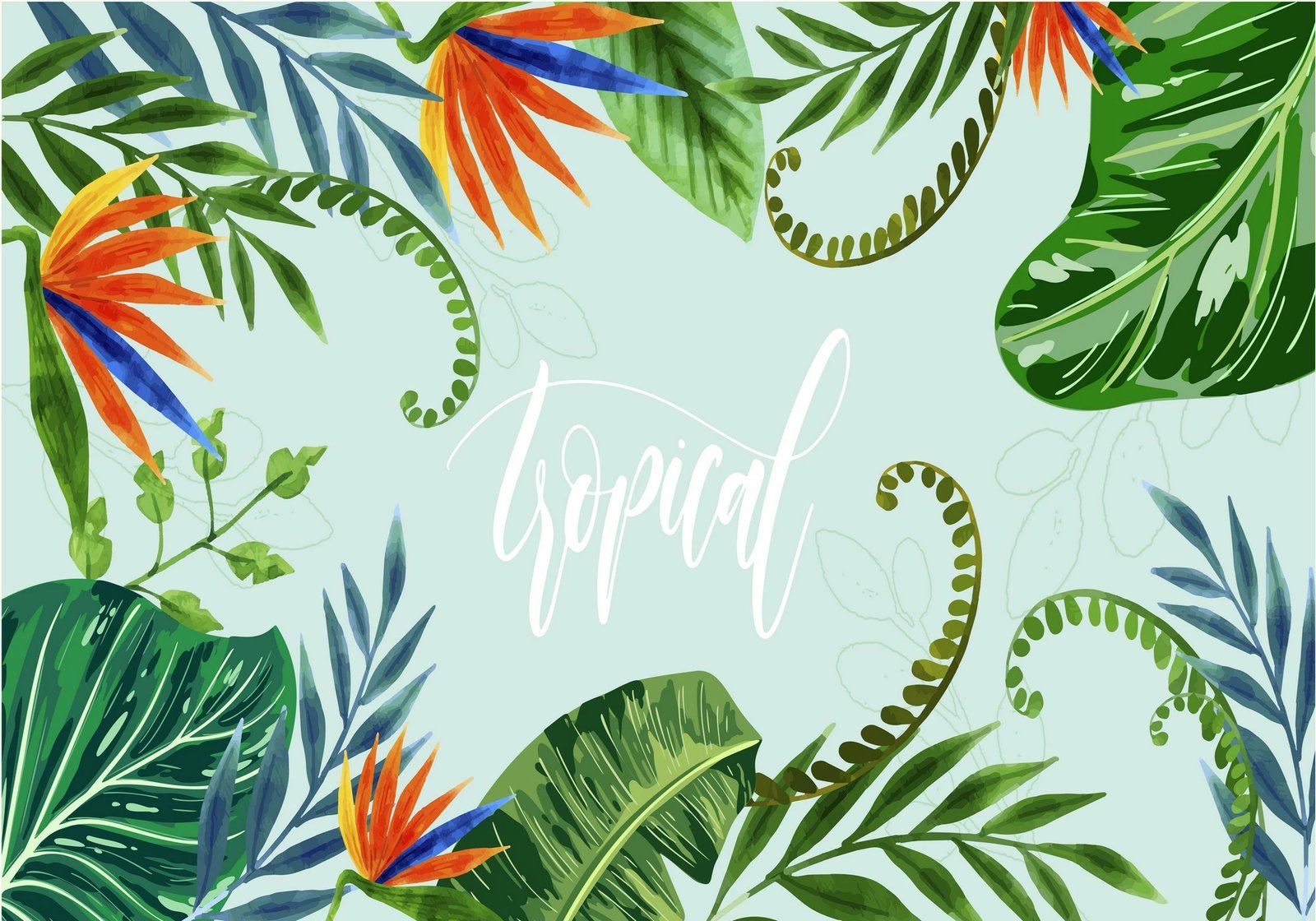 Set tapetesh për banjo (2 copë), Mijolnir, CT-5305