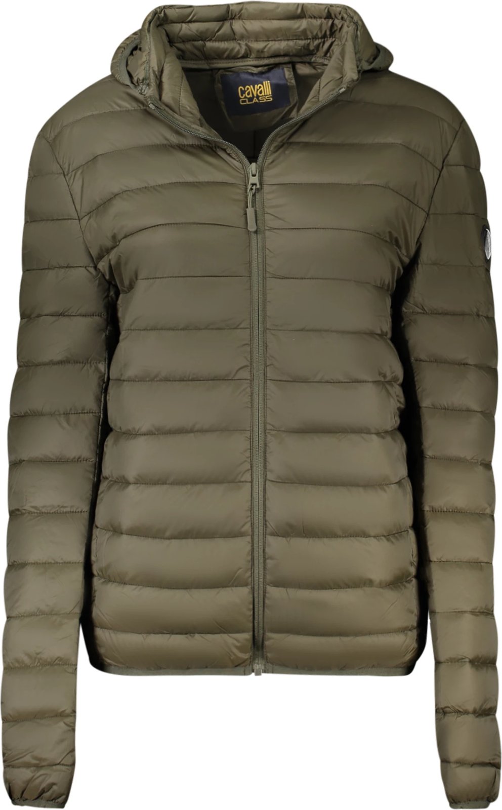 Jakne për meshkuj CAVALLI CLASS, e gjelbër