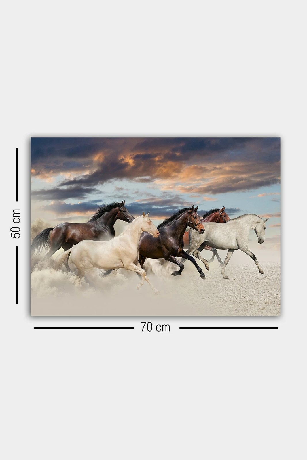 Pikturë dekorative në kanavacë, shumëngjyrëshe, Wallity, 310236866-5070, 50x70cm Pikturë dekorative në kanavacë, shumëngjyrëshe, Wallity, 310236866-5070, 50x70cm