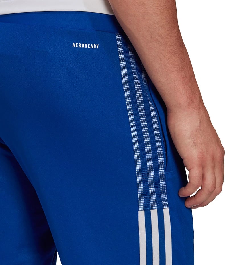 Pantallona sportive adidas për meshkuj, të kaltërta