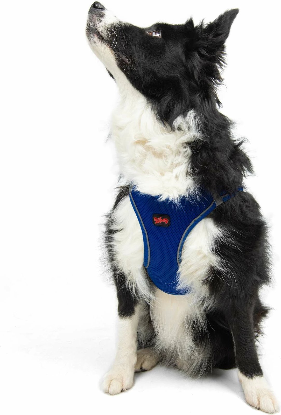 Parzmore për qen, Air-Mesh, ngjyrë sax blue