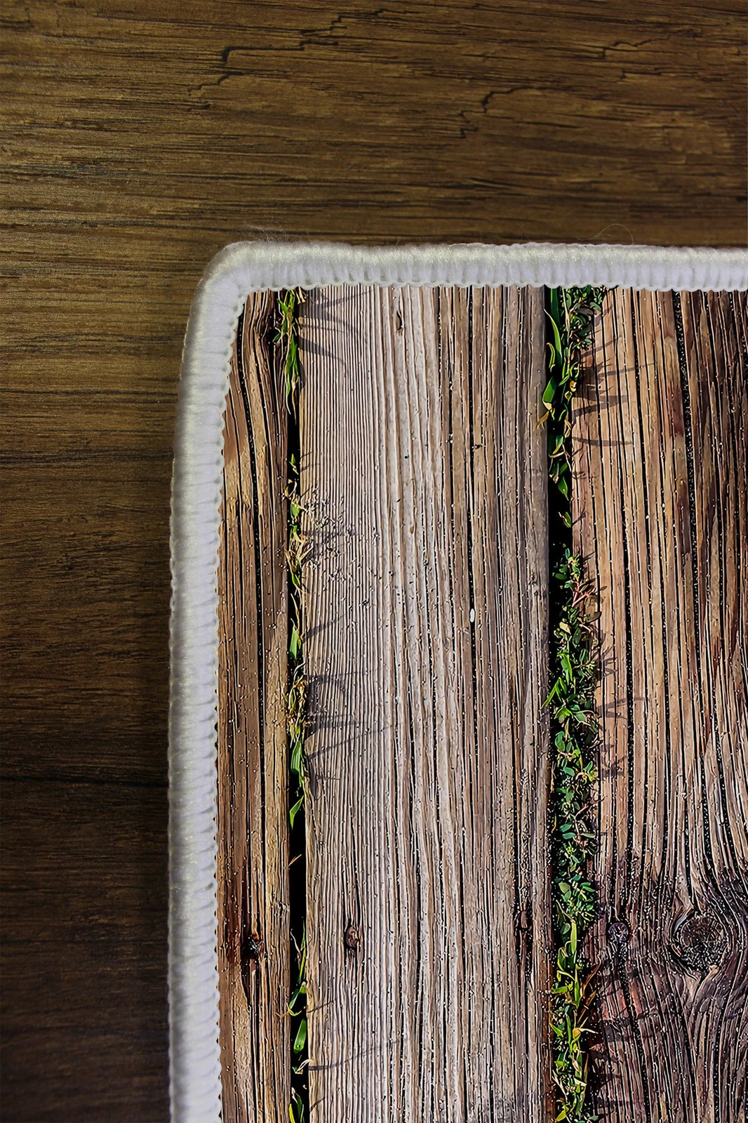 Qilim (60x100) Conceptum Hypnose, Wookece221