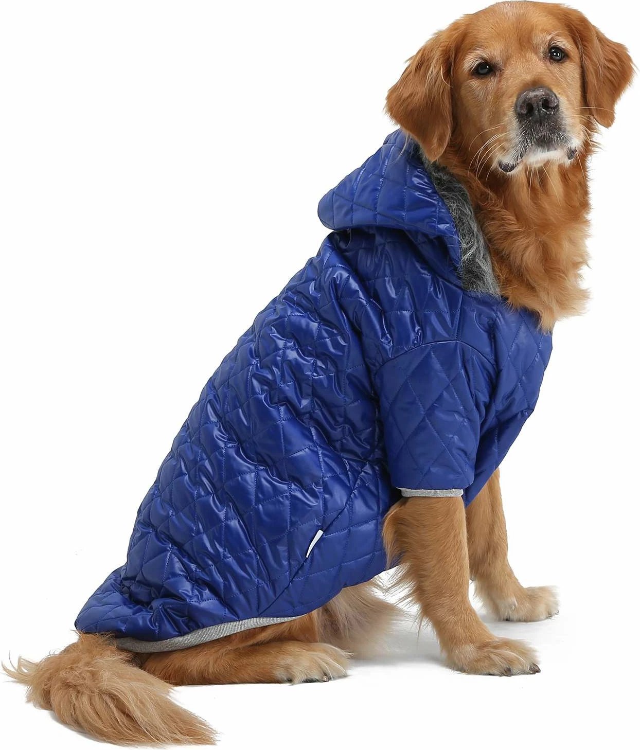 Bluze me kapuç për qen, ngjyrë kaltër, Paws & Whiskers, Bluecoat