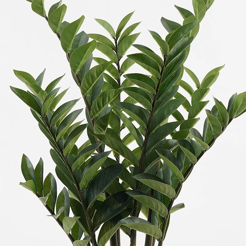 Bimë dekorative Zamia Inart, jeshile, 52x88cm