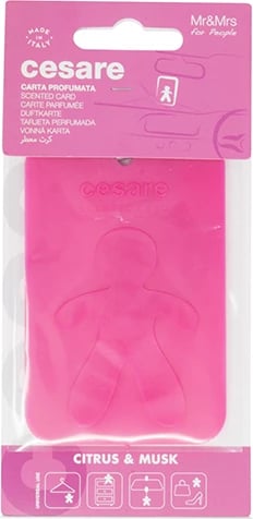 Mr&Mrs Cesare Card Pembe