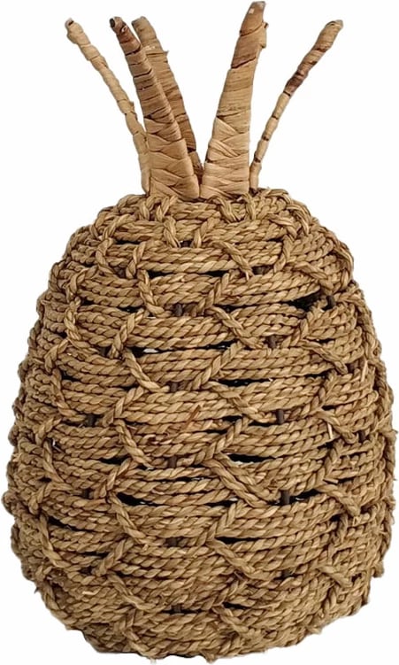 Dekor ananas Thasos, 20x20x30cm, kashtë deti, natyrale