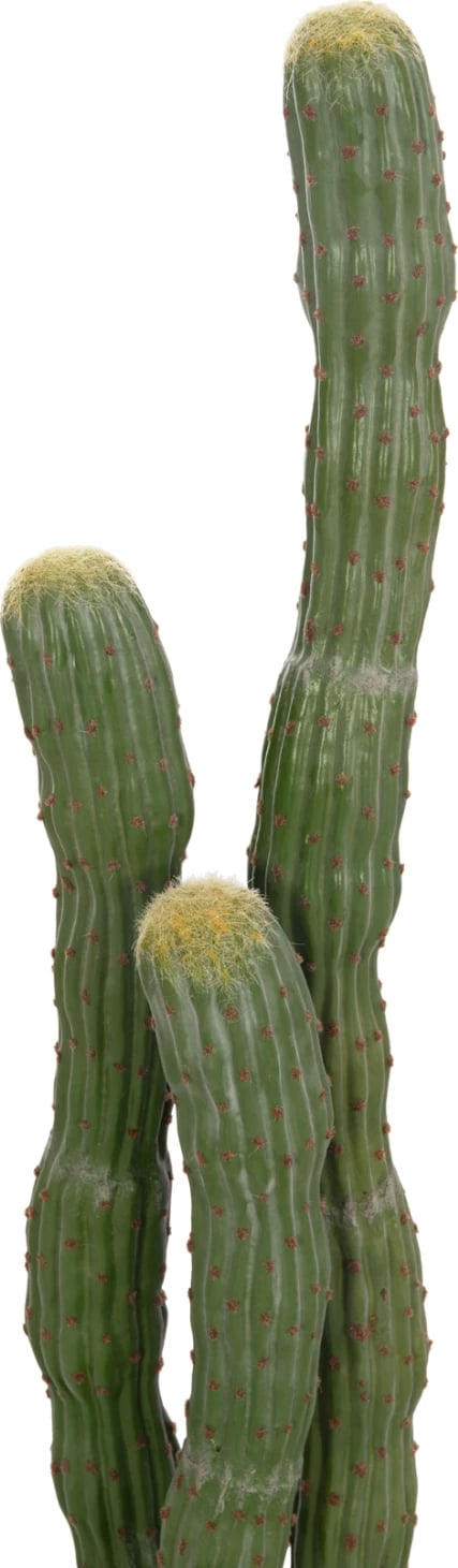 Bimë dekorative sintetike në vazo, lloj kaktusi, FH4747, 17.5x115cm