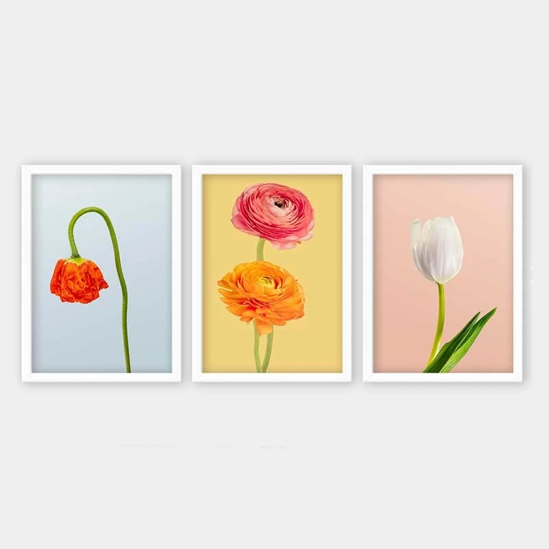 Pikturë dekorative me kornizë (3 copë), Wallity, 3BC_41955467_3545