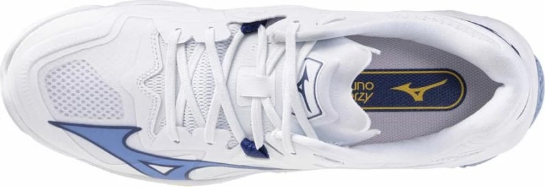 Atlete për meshkuj Mizuno, për volejboll