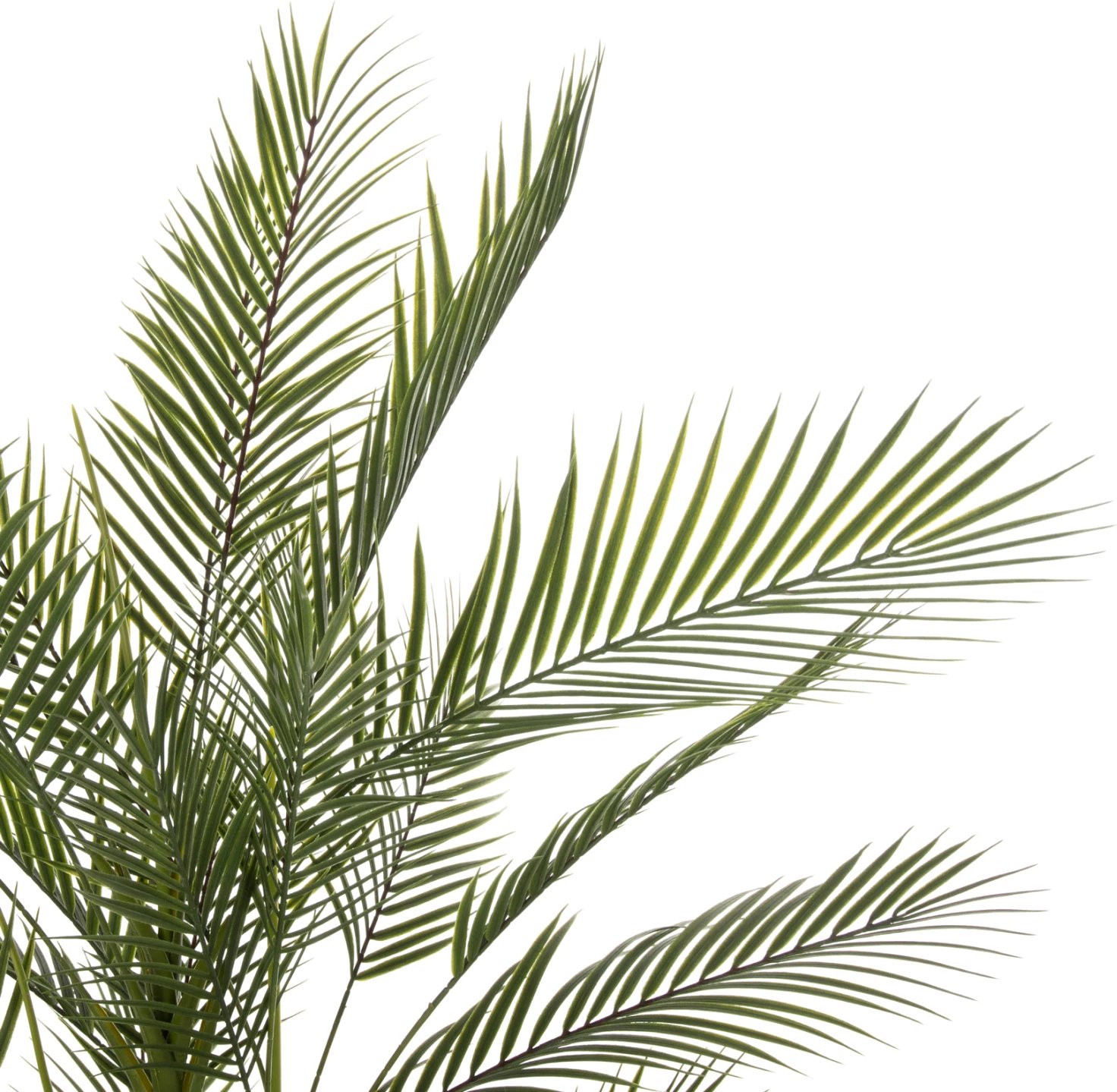 Bimë sintetike dekorative në vazo, KWAI TREE, FH7970, 17x14.5-155cm