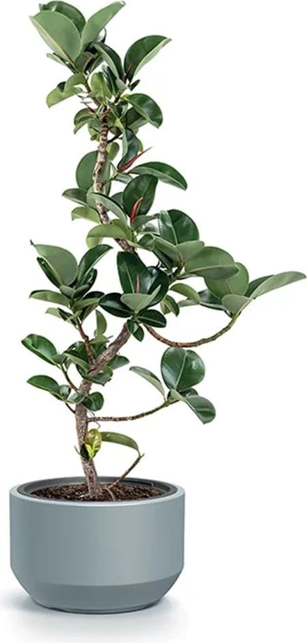 Vazo NEXT Heos gri Y19xΦ29.8cm