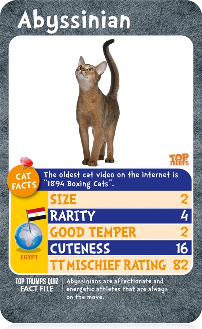 Cats - Who is the Most Mischievous? Top Trump Card Game