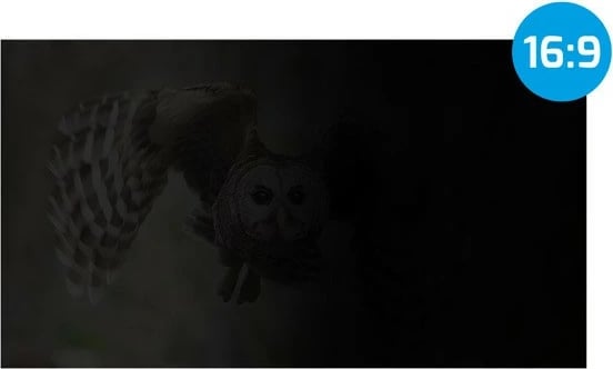 Filtër privatësie Natec Owl NFP-2288 për ekran 17.3", 16:9, i zi