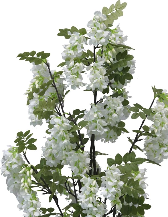 Bimë dekorative me lule fasule në vazo, Inart, e bardhë, pp, H125cm