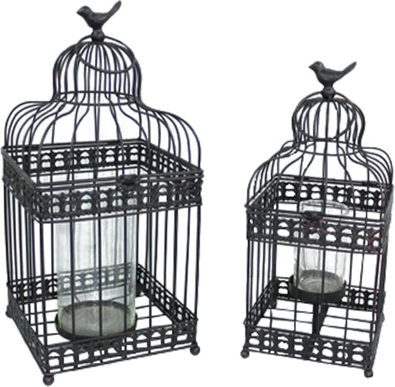 Set dekorativ kafazësh Daisy, 2 copë, metal i zi, qelq, 20x20x46cm