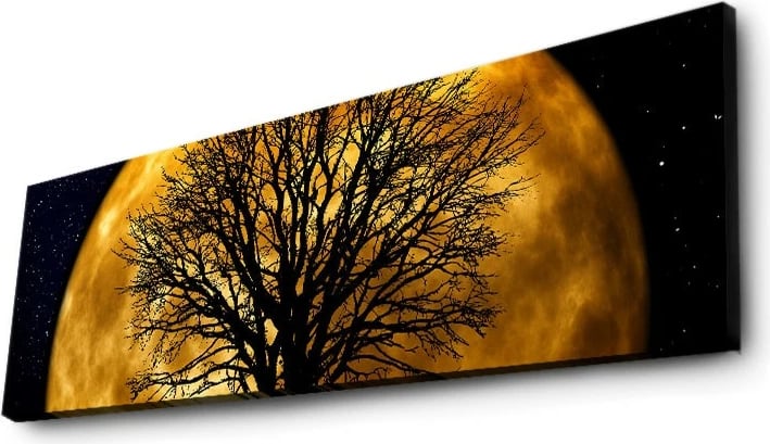 Pikturë dekorative në kanavacë me drita LED, Wallity, 3090DACT-71