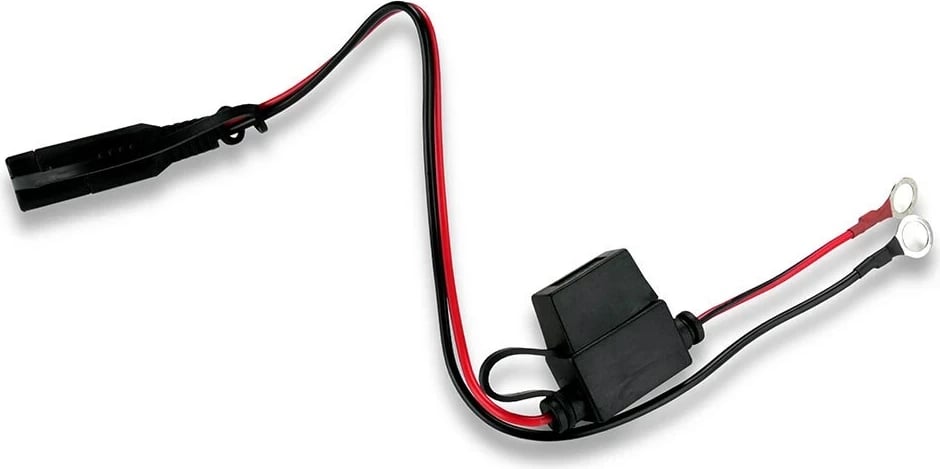 Karikues i baterisë së makinës everActive, 6-12V