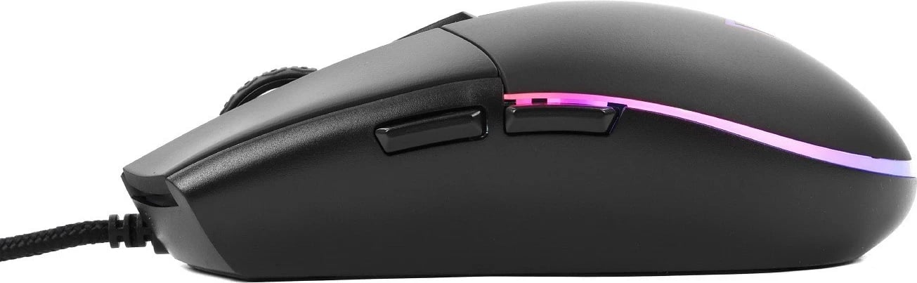 Maus California Access Korat CA1063, i zi 