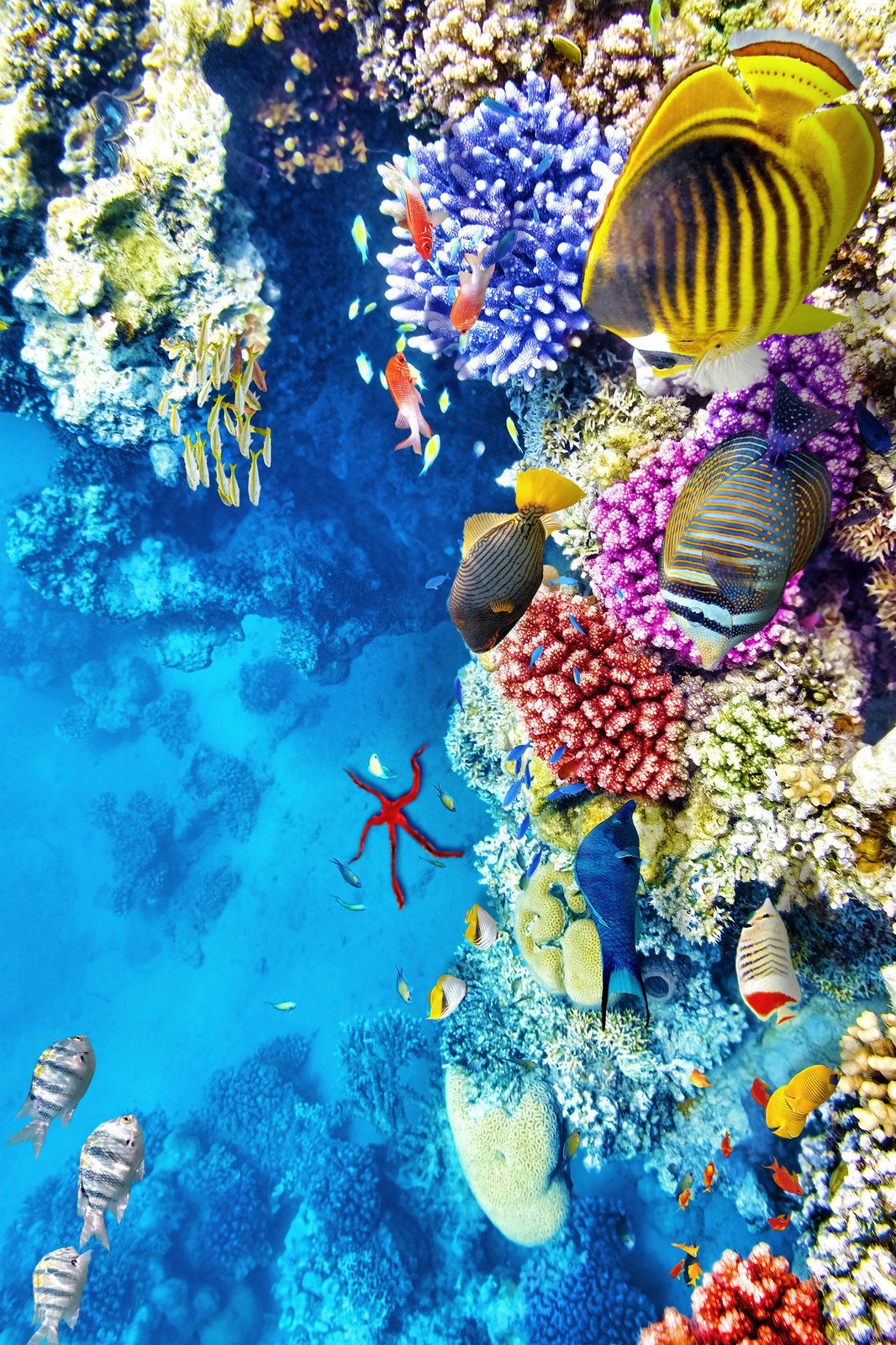 Qilim Conceptum Hypnose, shumëngjyrësh, Wookece166, 60x100cm