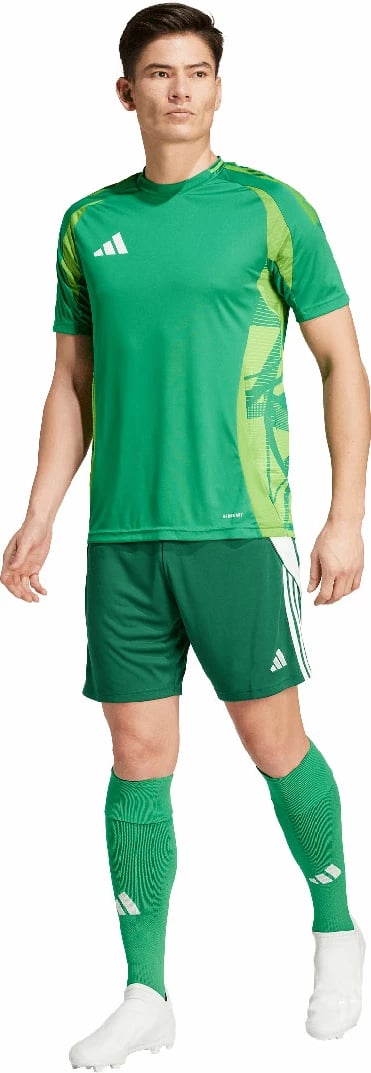 Shorce për meshkuj adidas, të gjelbra